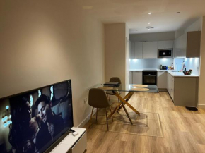 Luxury One Bedroom Flat